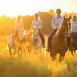 Renforcez votre équipe grâce à un séminaire de cohésion avec des chevaux